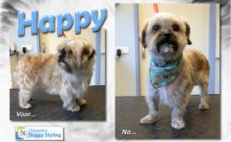 Trimsalon Doggy Styling - Happy