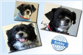 2015-03-19-Bobby resized