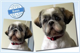 2015-04-16-Kees resized