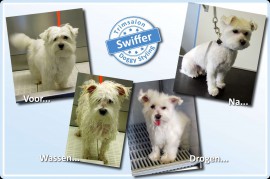 2015-06-03-Swiffer resized