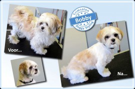 2015-06-11-Bobby resized