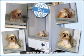 2015-08-11-Tess-in-de-droogkast resized