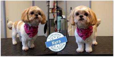 Trimsalon Doggy Styling - Kyra