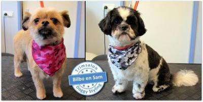 Trimsalon Doggy Styling - Bilbo en Sam