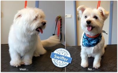 Trimsalon Doggy Styling - Swiffer