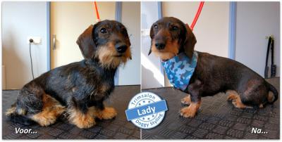 Trimsalon Doggy Styling - Lady