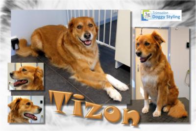 Trimsalon Doggy Styling - Tizon