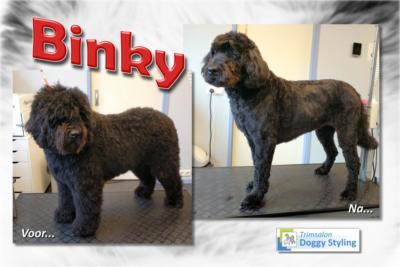 Trimsalon Doggy Styling - Binky