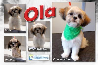 Trimsalon Doggy Styling - Ola