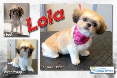 Trimsalon Doggy Styling - Lola