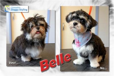 Trimsalon Doggy Styling - Belle