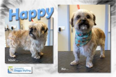 Trimsalon Doggy Styling - Happy